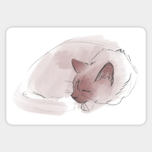 Pencil sketch of a sleeping cat. strokes of pink paint. Magnet